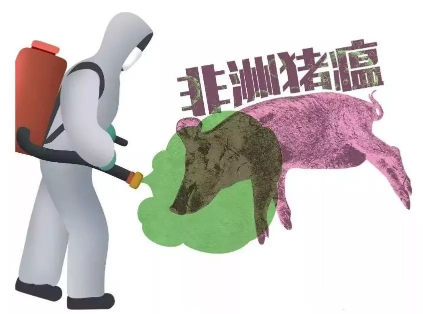 嚴(yán)格執(zhí)行“十不得” 確保非洲豬瘟疫情不反彈