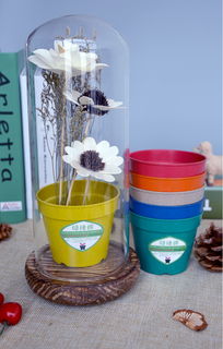 迷你彩色小花盆多肉植物花盆環(huán)保降解 容器園藝高清圖片 高清大圖