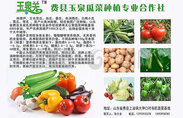 新鮮直達，品質承諾——綠色蔬菜產品宣傳與農副產品收購服務